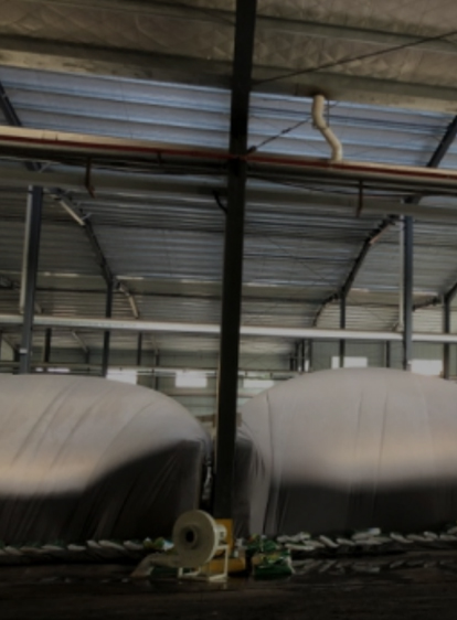 头等玩家官网-相信品牌力量